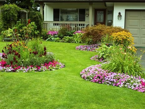 wont injure plants