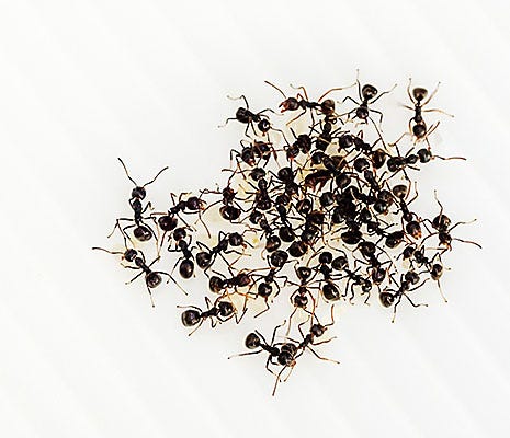Where to Place Bait