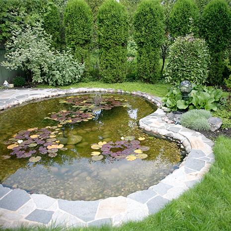 A well-kept garden pond