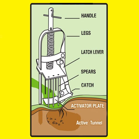 How to Set the Victor® Mole Trap