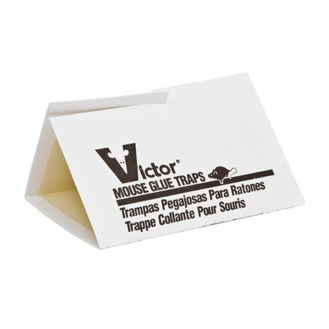 Victor® Mouse Glue Board - Bulk