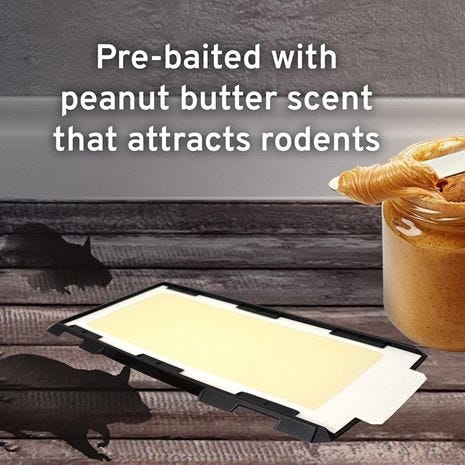 Peanut Butter Scented Glue Board Traps