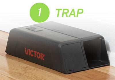 1 - Trap