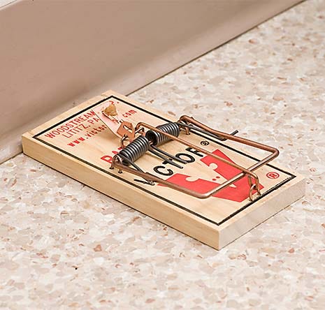 Victor® Metal Pedal Rat Trap