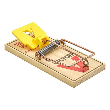 Easy Set Mouse Trap